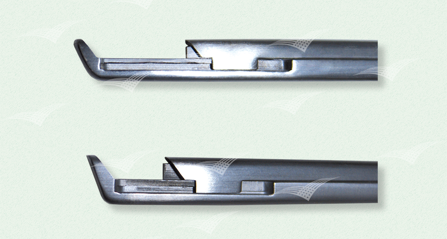 Grossmaul versus Standard_Neuro Stanzen